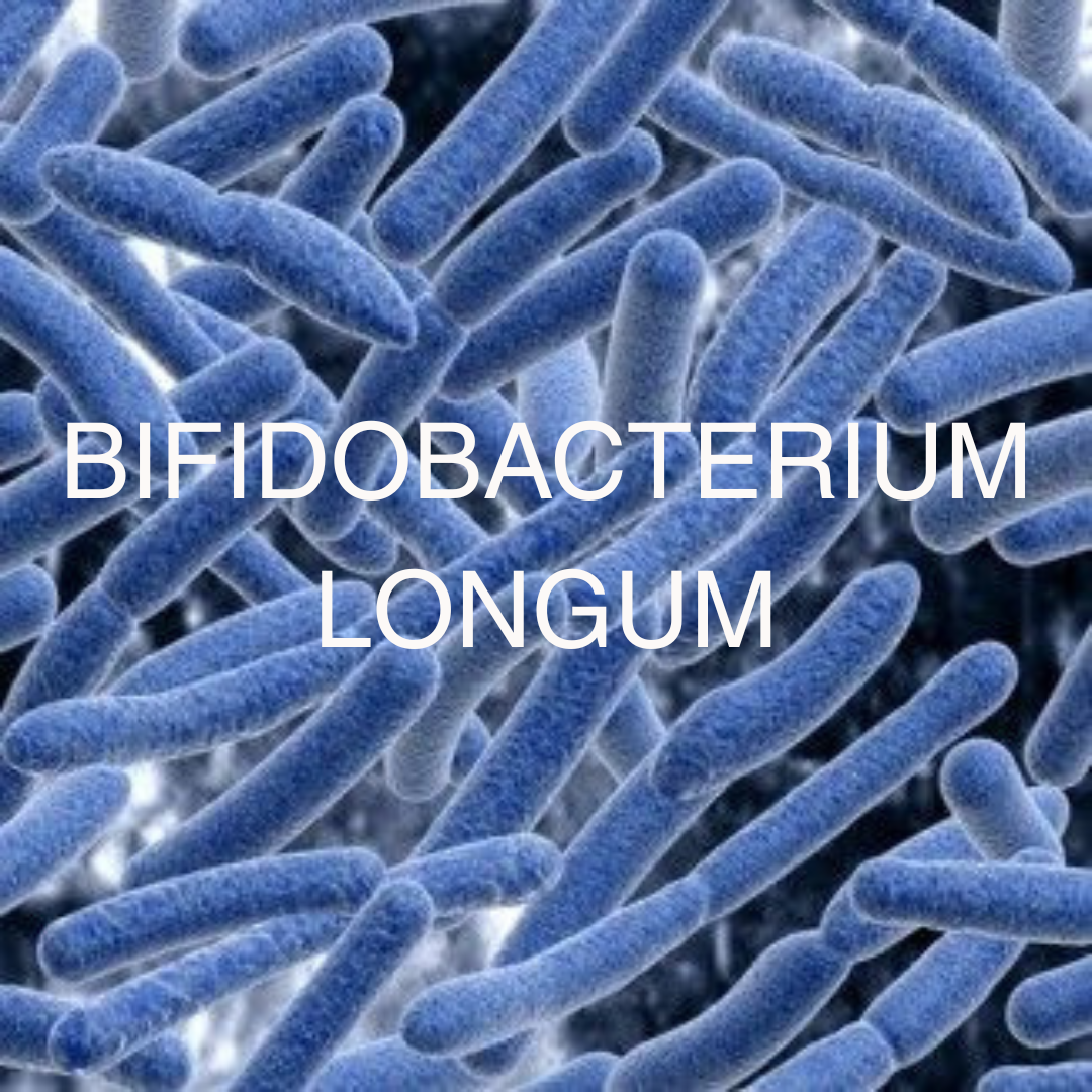 Bifidobacterium longum: A Clinically Supported Probiotic for Gut, Immunity, and Mind–Body Health