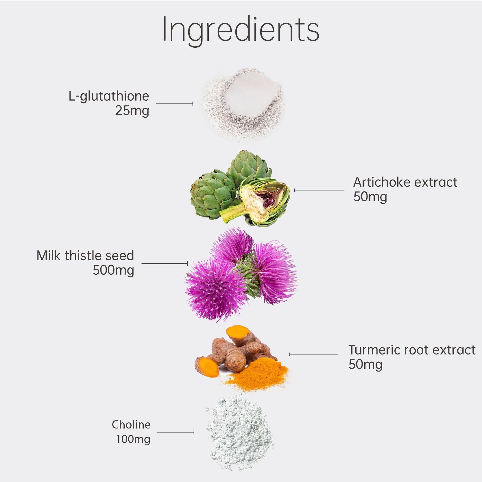 Milk Thistle Losoki Wellness | Official Store for Science-Backed Health Supplements & Holistic Care Solutions Milk Thistle Losoki Wellness | Official Store for Science-Backed Health Supplements & Holistic Care Solutions