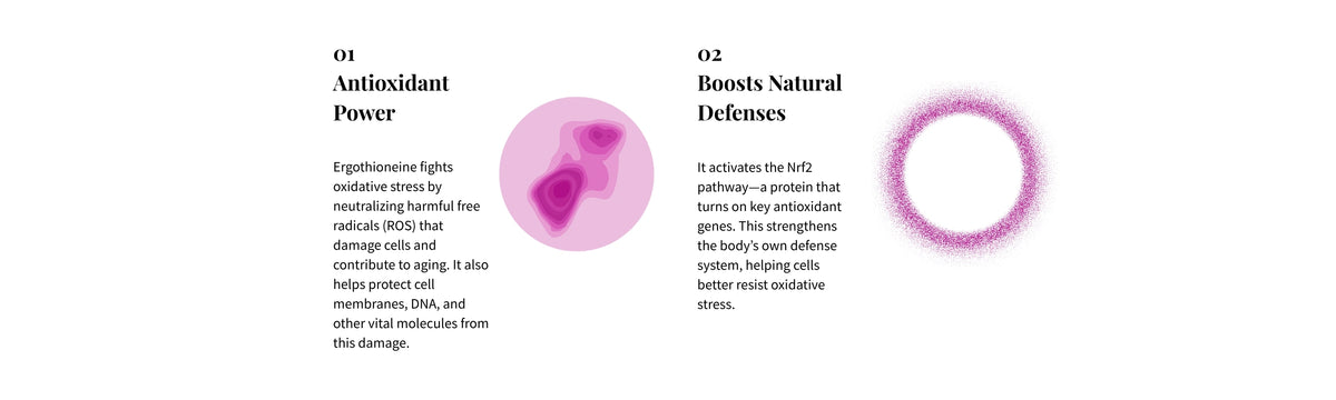Losoki Ergothioneine – product highlights 3